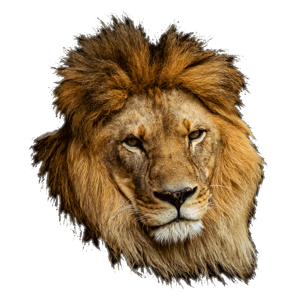 Animalisch